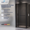 RGW 77124529-34 Душевой уголок 120*90*200 RGW LE-45-B Прямоуг./Чёрный/Тонированное(серое)/6 мм (Easy)
