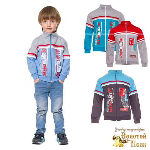 Толстовка хлопок мальчику (7-9) 251026-ОФ6-1220