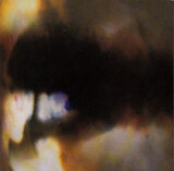 ANIMAL COLLECTIVE:  Fall Be Kind Ep