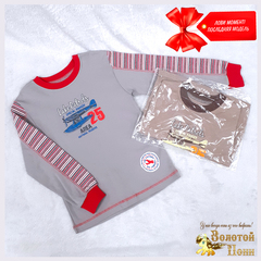 Джемпер хлопок мальчику (3-7) 251026-ОФ6-1081