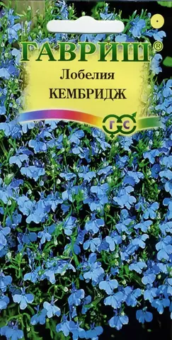 Семена Лобелия  длинночерешковая Кембридж, Одн