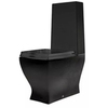 ArtCeram Jazz JZV003 03 00 NERO Унитаз моноблок, цвет: чёрный