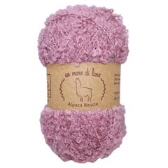 Wool Sea Alpaca Boucle 354 (пудра)