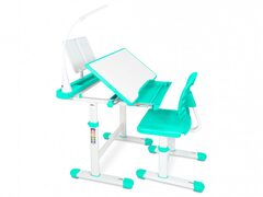 Комплект растущей детской мебели  ErgoKids EVO-17 парта + стул + выдвижной ящик + светильник + подставка