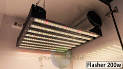 В180хД80хШ60 ГроуБокс FLASHER 200W или Rootster Board 250W LED SUPERSILENT