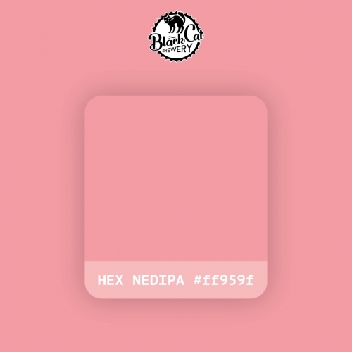 https://cdn.insales-shop.ru/images/products/1/5538/482473378/Пиво_Black_Cat_HEX_NEDIPA__FF959F.jpeg