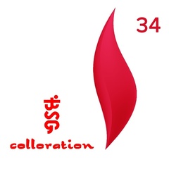 BSG Colloration, №34 Ярко красно-розовый BSG Colloration, №34 Ярко красно-розовый