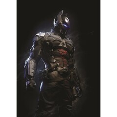 Вселенная Rocksteady's Batman (Б/У)
