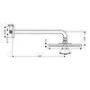 Hansgrohe Raindance S 27461000 Душ верхний 24х24 см