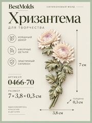 0466-70 Молд силиконовый 