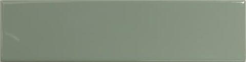 DNA Match Sage Gloss 6.25x25