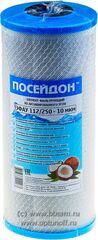 Посейдон Картридж ЭФАУ 112/250-10 (уголь) BB10