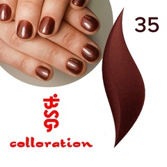 BSG Colloration, №35 Шоколадно-бордовый с золотым шимером BSG Colloration, №35 Шоколадно-бордовый с золотым шимером