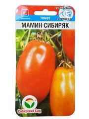 Томат Мамин Сибиряк (Сибирский Сад)