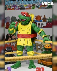 Набор фигурок NECA TMNT Stump Wrestling Turtles 7” Scale Action Figure 4-Pack