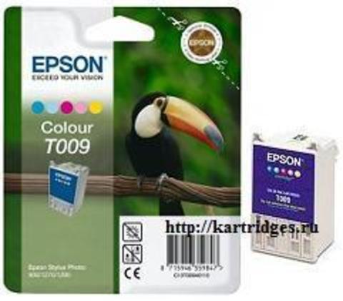 Картридж Epson T009401
