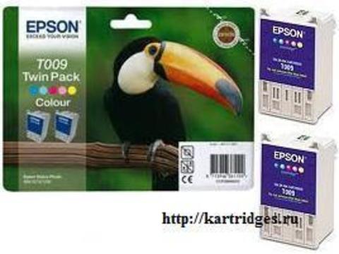 Картридж Epson T00940210