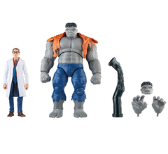 Marvel Legends Series Gray Hulk & DR. Bruce Banner