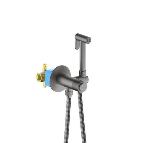 Aquatek Бетта AQ1023BGM Комплект для гигиенического душа встроенный, цвет: воронёная сталь