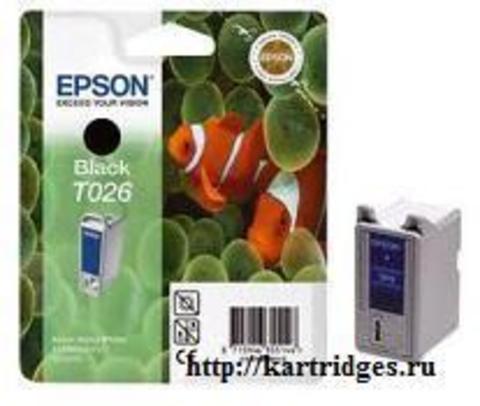 Картридж Epson T026401