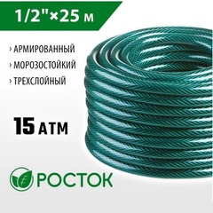 РОСТОК 1/2