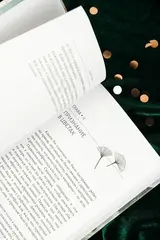 Стеклянная душа красавицы. Книга 2