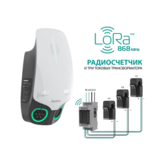 Pandora Wall-E DUO LoRa AC 22+22 кВт