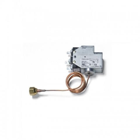 Johnson Controls P20EA-9610C