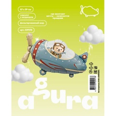 Шар Аг Фигура, Самолет с медведем, 34