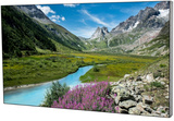 Панель LCD EliteBoard PK557FFLN