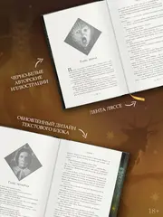 Косиног: История о колдовстве (коллекционное издание)