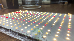 LED светильник Quantum FR + IR + UV 120W LM301B+ Pro