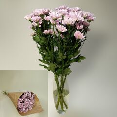 Охапка 5 розовых кустовых хризантем