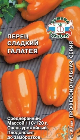 Семена Перец Галатея