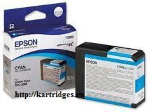 Картридж Epson T580200