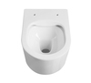 Aquatek SET Aquatek МИЯ-070 4в1 SET Aquatek МИЯ 4в1 (рама Aquatek Standard INS-0000012+ кркпеж KKI-0000002+клавиша KDI-0000070+унитаз МИЯ AQ2004-00 с тонким сиденьем soft-close)