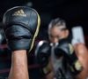 Лапы Adidas AdiStar Pro Speed Focus Mitt bk/gd