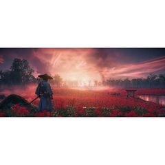 Ghost of Tsushima/Призрак Цусимы Director's Cut PS5