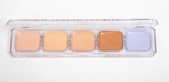 OG-FB6126B Консилер для лица на палетке тон 02 беж+лаванда, All Round Concealer (5 тонов)