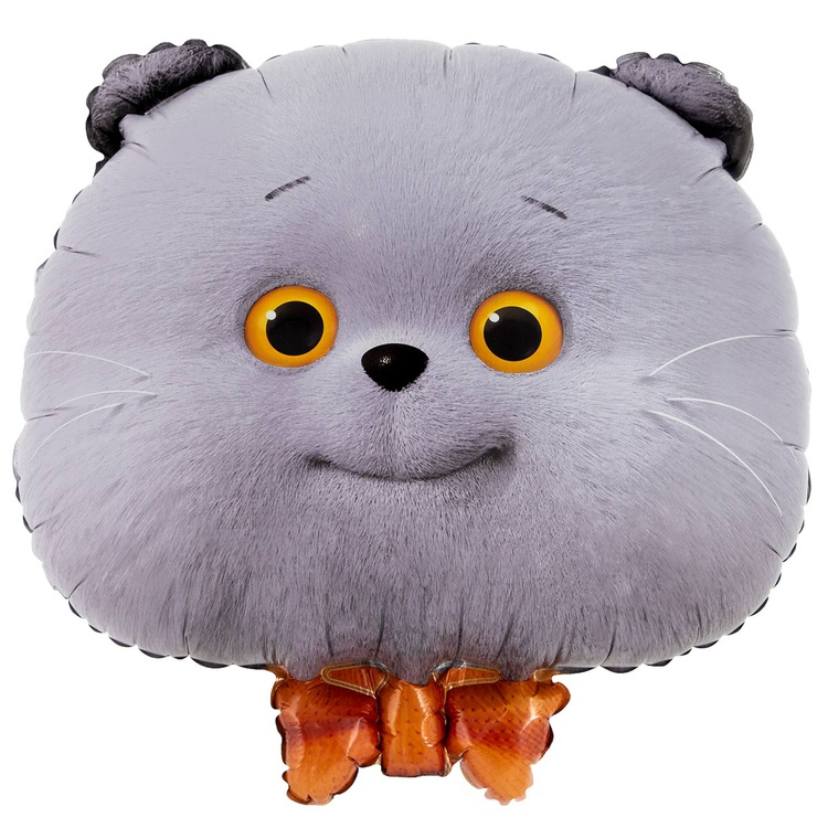Шар К Фигура, Голова, Басик Кот, 22