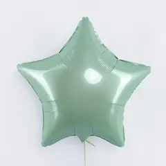 Шар F 18''/46 см, Звезда, Макарунс, Мятный.