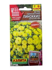Астра Пиноккио золотистая (Аэлита)