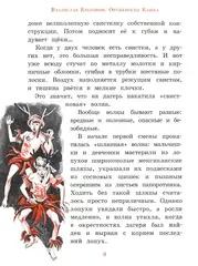 Оруженосец Кашка