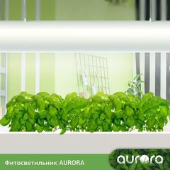 Фитосветильник AURORA Model 50