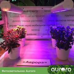Фитосветильник AURORA Model 50