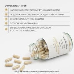 PROBIOLAB VITAMIN C+ BIOFLAVONOIDS Витамин C + Биофлавоноиды, 120 капсул