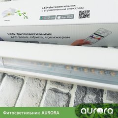 Фитосветильник AURORA Model 50