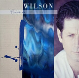 WILSON, BRIAN: Brian Wilson (Extended Version) (Виниловая пластинка)