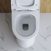 BelBagno Steam BB130CPR/SC Чаша безободкового унитаза, цвет: белый