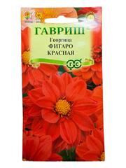 Георгина Фигаро красная (Гавриш)